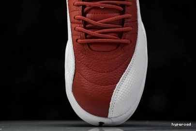 Hyperoad Jordan 12 Air 
